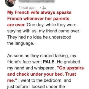 I Asked My Friend to Come over & His Ability to Speak French Revealed a Startling Family Drama