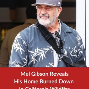 Mel Gibson shares sad truth after fire destroys his home