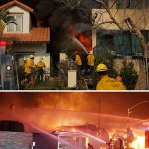 Tragedy in Hollywood: Beloved Actress Dies as LA Wildfires Destroy Her Home