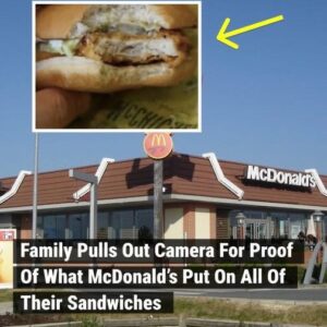 A family stopped at an Alabama their trip from New York and ordered 14 chicken sandwiches…