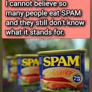 What is SPAM And…