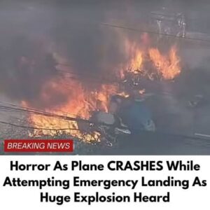 Horror As Plane CRASHES While Attempting Emergency Landing As…