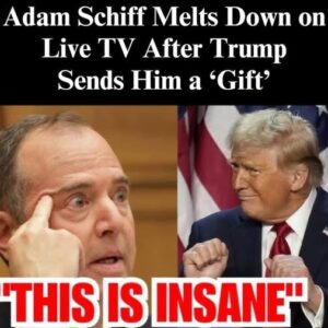 Schiff Considering Rejecting Biden Pardon For J6 Committee Amid Blowback