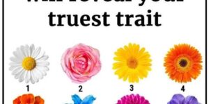 No Ch3ating. The Flower You Pick Will Reveal Your Truest Trait