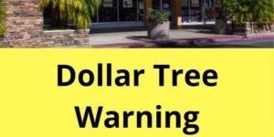 If You Ever Shop At Dollar Tree, Make Sure These Items Are Never In Your Cart