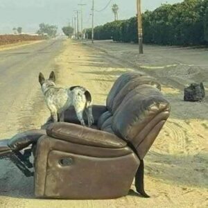 I was there where you left me for two whole days.