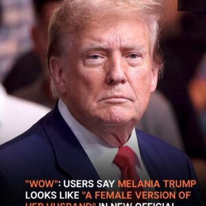 ‘Wow’: Users React to Melania Trump’s New Official Portrait – Photo ‘Wow’: Users React to Melania Trump’s New Official Portrait – Photo