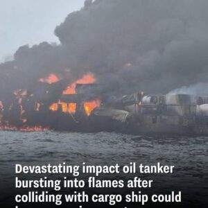 Environmental Catastrophe: The Aftermath of an Oil Tanker Collision