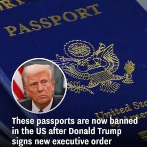 New passport ban in the US