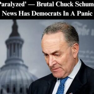 Chuck Todd: Democratic Leaders Jeffries and Schumer “Hampered” by Internal Factional Divisions – An In-Depth Look at the Party’s Internal Struggles.