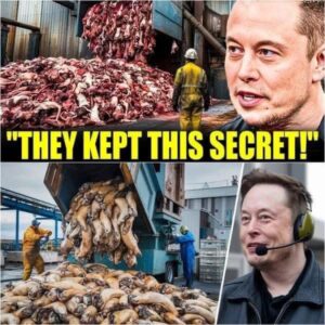 7 Common Products You’ll Never Buy Again Once You Discover What’s Inside!