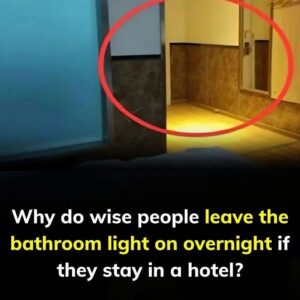 Keep bathroom light on when sleeping in hotel – Here’s why