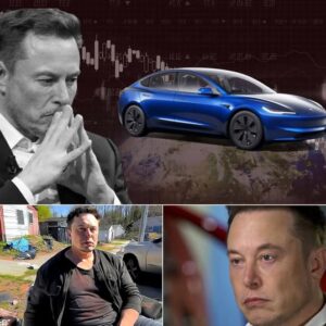 Tesla Collapses, Twitter in Chaos, and Now 4 Billion Disappeared: Can Elon Musk Stand Up After This Financial Nightmare?