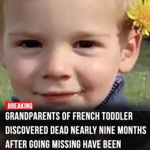 Grandparents arrested in mysterious death of French toddler