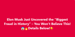 Elon Musk Just Uncovered the “Biggest Fraud in History” – You Won’t Believe This! Details Below