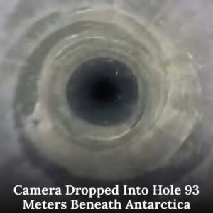 Camera Lowered Into Hole 93 Meters Beneath Antarctica Makes Stunning Discovery