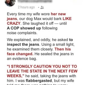 My Dog Changed My Life Forever after He Started Barking Uncontrollably at My Wife’s New Jeans & Revealed Her Secret