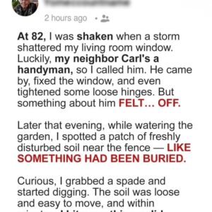 2/Neighbor Handyman Came to Fix My Broken Window – What He Left behind in My Garden Was Unthinkable
