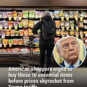 American Shoppers Urged to Buy These 10 Essential Items Before Prices Skyrocket from New Tariffs