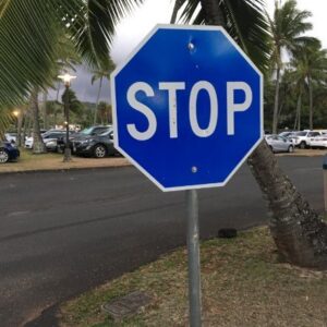 The Meaning Behind a Blue Stop Sign and…