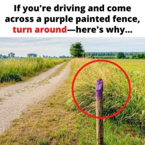 If You See A Purple Fence Post, Turn Around And Stay