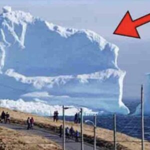 2/ Gigantic Iceberg Floats Near The Local Village. When People See What’s On It, They Were Terrified 2/ Gigantic Iceberg Floats Near The Local Village. When People See What’s On It, They Were Terrified