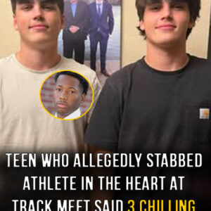 Teen suspect told Austin Metcalf “see what happens” before stabbing