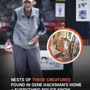 New Report Points Out Bizarre Nest in Gene Hackman’s House – Everything Police Discovered