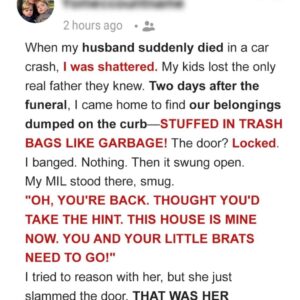 My MIL Changed the Locks and Kicked Me and My Kids Out After My Husband Died — That Was..