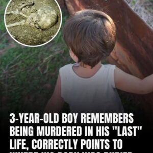 A 3-Year-Old Boy Recalls Being Murdered In His “Last” Life And Accurately Identifies The Location Of His Burial