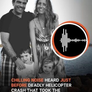 Witnesses Describe the Moment the Helicopter Crashed Into the Hudson River