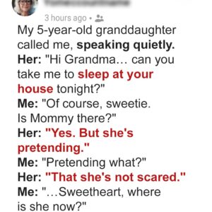 My 5-Year-Old Granddaughter Called Me Saying Her Mom Was ‘Pretending She’s…