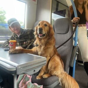 I took the train to clear my head and sat across from a dog that knew too much