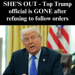 Mysterious Exit: Top Trump Official Is Gone After Withdrawing from a Shadowy…