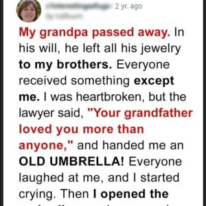 Greedy Brothers Mock Younger Sister Because She Only Inherited an Old Umbrella