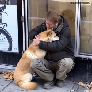 Dog Goes to Closed Store Daily then Leaves, One Evening Poor Boy Notices and Follows It — Story of the Day