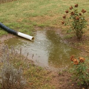 My Neighbor Secretly Redirected His Sewage into My Garden to Save