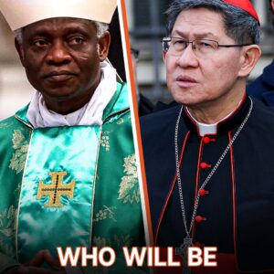 Who Will Be the Next Pope After Francis’s Passing