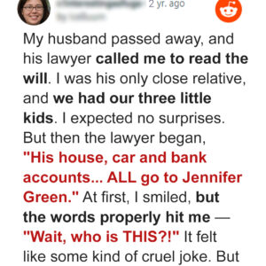 Single Mother of 3 Shows up for the Reading of Her Late Husband’s Single Mother of 3 Shows up for the Reading of Her Late Husband’s
