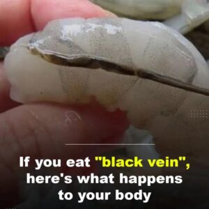 What happens if you eat the black vein in a shrimp’s tail?