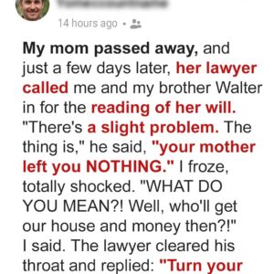 Sons Who Leave Sick Mother Alone Find Out She Left All Inheritance to Her Tenants…