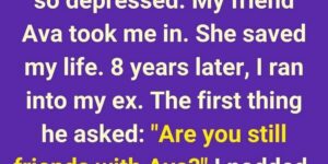 The Secret Ava Kept