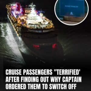 The Horrifying Reason Behind The Request That Cruise Ship Passengers Shut Off Lights And Draw Curtains When Traversing Specific Waters