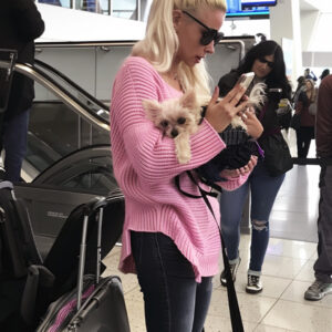Entitled Dog Owner Made the Airport Hell for Everyone – She Deserved What I Did at the Gate Entitled Dog Owner Made the Airport Hell for Everyone – She Deserved What I Did at the Gate