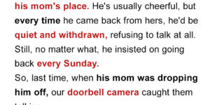 My Stepson Didn’t Know Our Door Camera Had a Mic – What I Heard Him Say about…