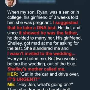 I Had My Son Do a DNA Test Which Confirmed Paternity, but Then His Fiancée’s Mother Called and Left Me Totally Shocked