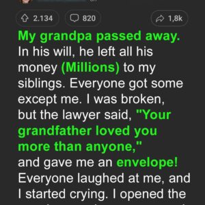 I Was Upset That My Grandfather Only Left Me an Old Apiary until I Looked into the…