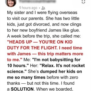 My Sister Dumped Her Kids on Me Mid-Flight — Her Meltdown at the Gate Was Karma My Sister Dumped Her Kids on Me Mid-Flight — Her Meltdown at the Gate Was Karma