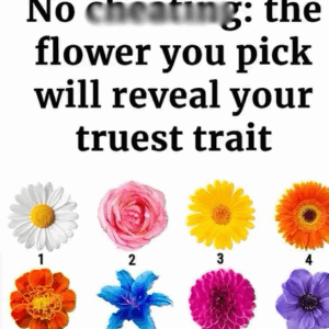 The Flower You Pick Will Reveal Your Truest Trait