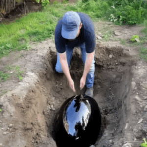 I Caught My Husband Burying a Strange Black Egg — What Followed Changed Our Marriage I Caught My Husband Burying a Strange Black Egg — What Followed Changed Our Marriage